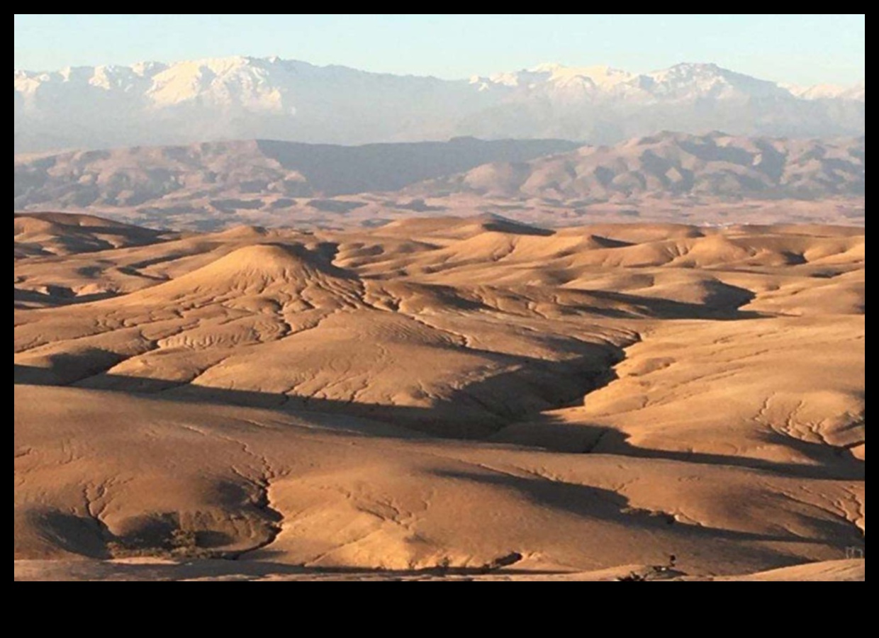 Tuksneša sapņi: paņēmieni sauso zemju plašā un mīklainā skaistuma iemūžināšanai