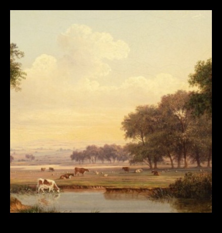 Pastorālās perspektīvas: lauku svētlaime ainavu fotogrāfijā