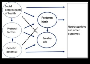 Dabas audzinātājs: holistiskās attīstības veicināšana zīdaiņiem