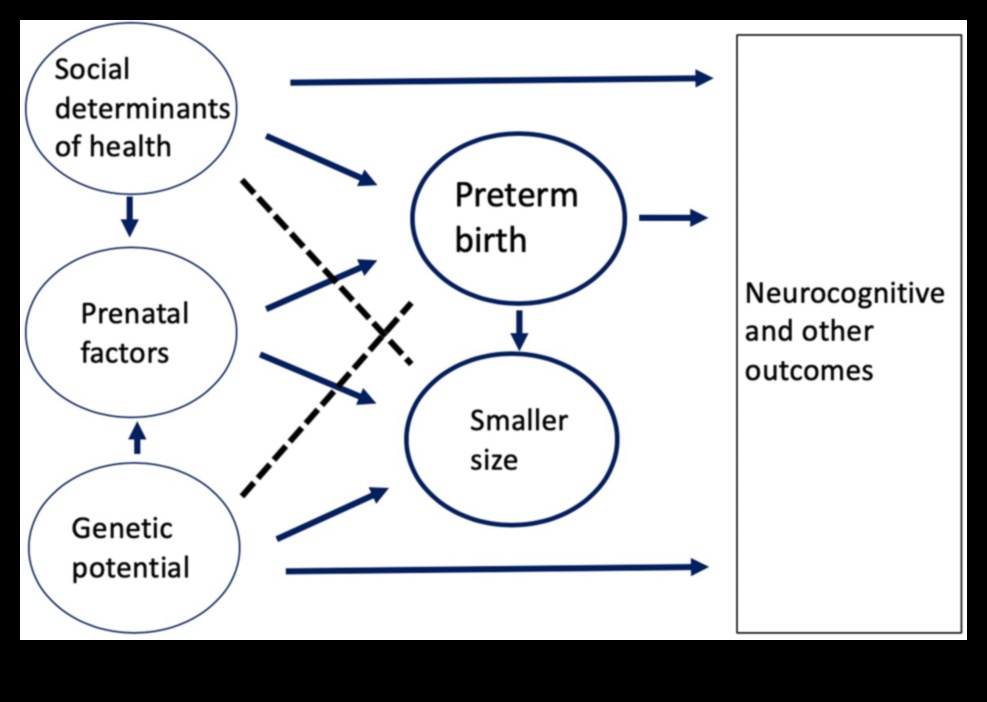 Dabas audzinātājs: holistiskās attīstības veicināšana zīdaiņiem