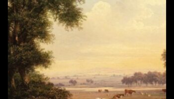 Pastorālās perspektīvas: lauku svētlaime ainavu fotogrāfijā