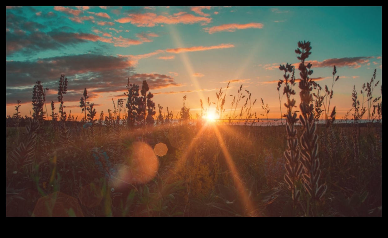 Sunset Sojourns: Chasing the Golden Hour ceļojumu fotogrāfijās